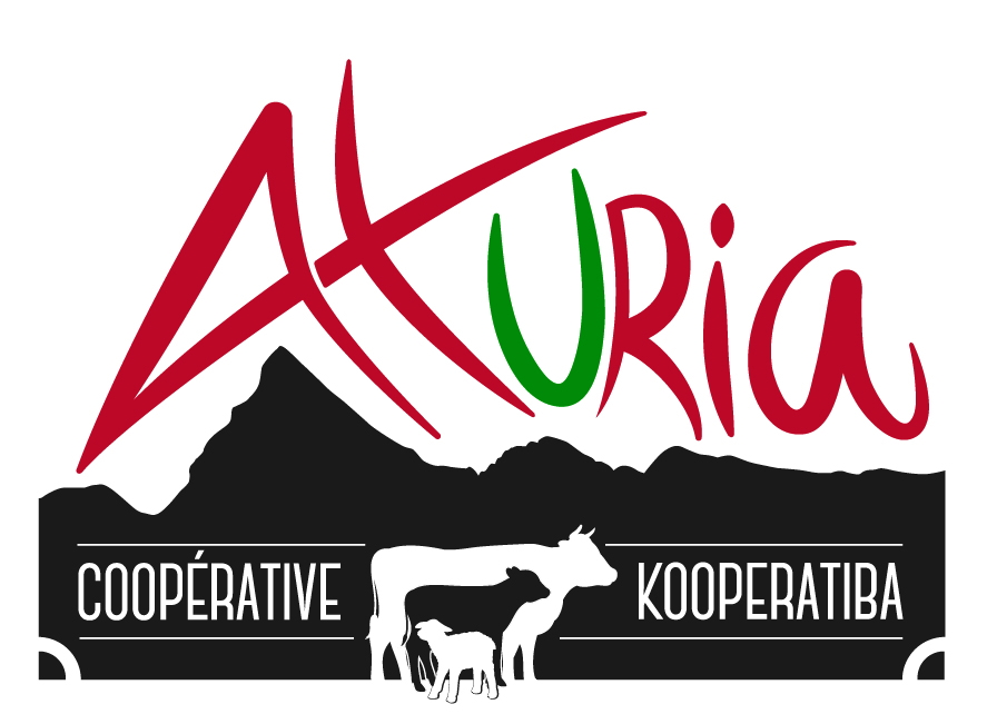 Logo Axuria